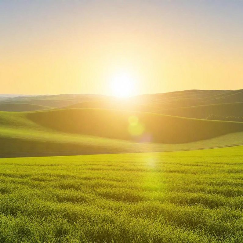 Mobile personal training outdoors in Wiltshire